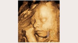 Dr. med. univ. Gerald Radner - Frauenarzt Wien 1030