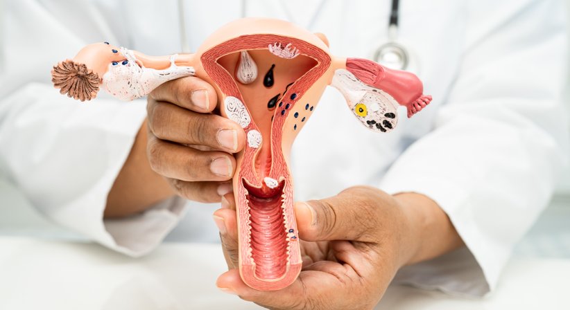 Geburtshilfe - Dr. med. univ. Gerald Radner - Frauenarzt Wien 1030