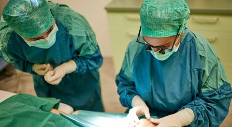 Dr. Sara Abayev - Plastische Chirurgin Wien 1060