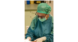 Dr. Sara Abayev - Plastische Chirurgin Wien 1060
