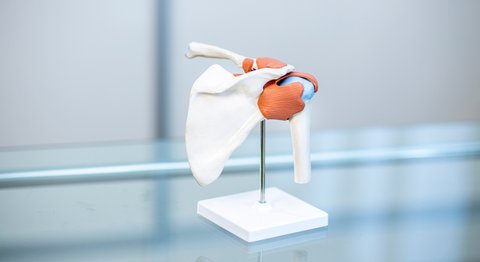 Priv.- Doz. Dr. Julian Jöstl, PhD, MSc - Orthopäde Wien 1090
