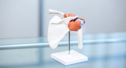 Erkrankungen und Verletzungen der Schulter