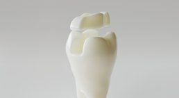 Dr. med. dent. Agnes Salamon - Zahnärztin Wien 1020