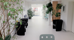 Dr. med. univ. Alketa Gaba - Internistin Wiener Neudorf 2351