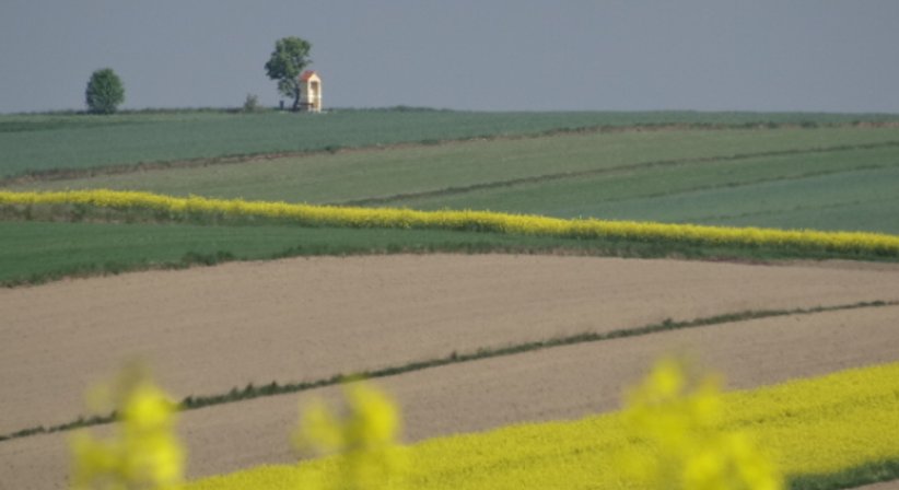 Lifestyle-und Ernährungsberatung - Dr. Birgit Mayr - Praktische Ärztin Wien 1010