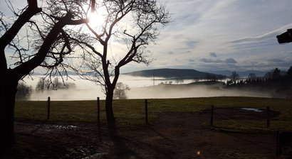 Psychotherapie und psychosomatische Betreuung