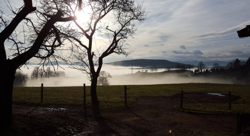 Psychotherapie und psychosomatische Betreuung - Dr. Birgit Mayr - Praktische Ärztin Wien 1010