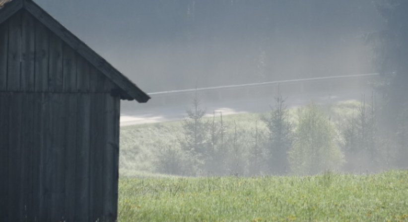 Psychotherapie und psychosomatische Betreuung - Dr. Birgit Mayr - Praktische Ärztin Wien 1010