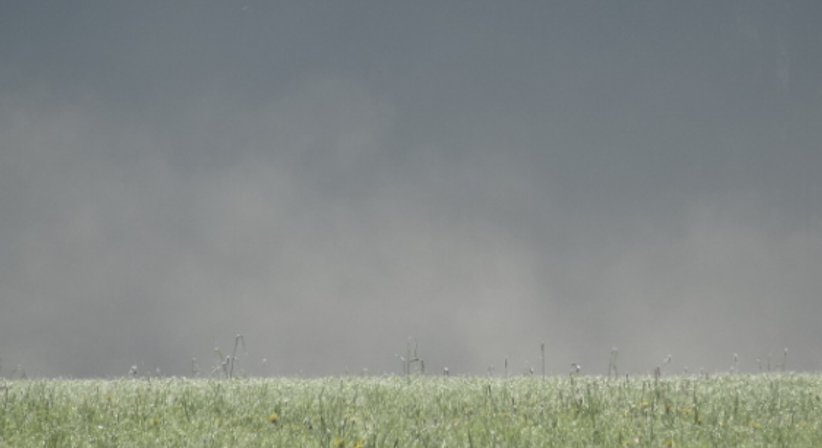 Psychotherapie und psychosomatische Betreuung - Dr. Birgit Mayr - Praktische Ärztin Wien 1010