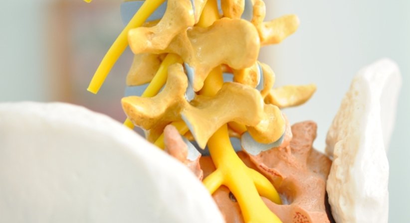 Schmerztherapie - Dr. Birgit Mayr - Praktische Ärztin Wien 1010