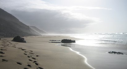 Vorsorgeuntersuchungen