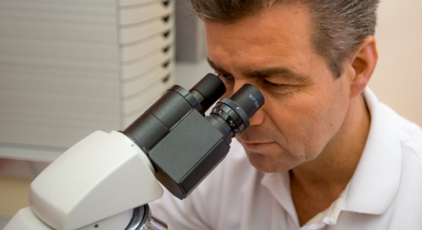 Betreuung von chronischen Infektionen - Univ.Prof. Dr. Armin Witt - Frauenarzt Wien 1090