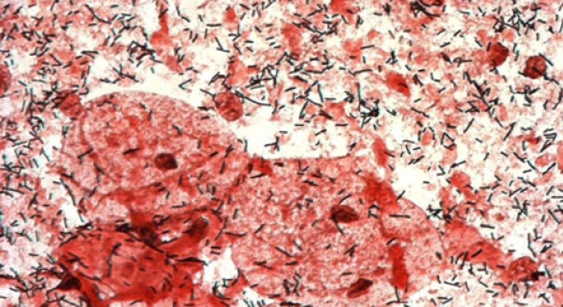 Kinderwunsch - Univ.Prof. Dr. Armin Witt - Frauenarzt Wien 1090