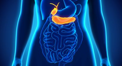 Gallenblase/Cholezystektomie