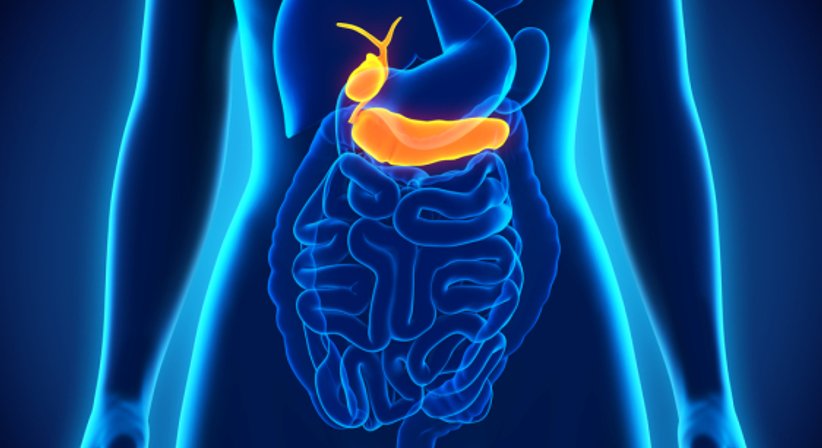 Gallenblase/Cholezystektomie - OA Dr. Alexander Butz - Allgemeinchirurg Wien 1130