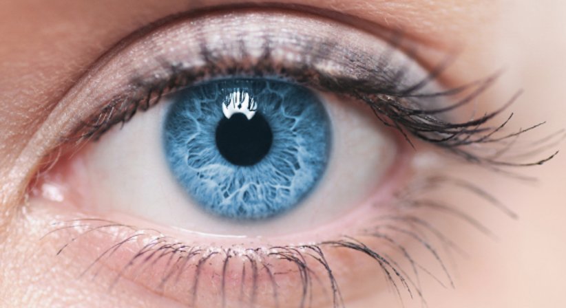 Endokrine Orbitopathie - Univ.- Doz. Dr. Guido Dorner - Augenarzt Wien 1130