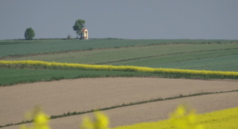 Lifestyle-und Ernährungsberatung - Dr. Birgit Mayr - Praktische Ärztin Köflach 8580