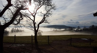 Psychotherapie und psychosomatische Betreuung