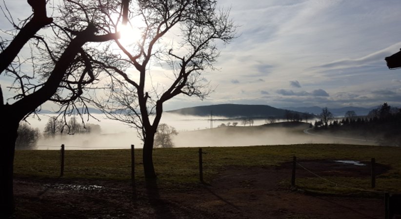 Psychotherapie und psychosomatische Betreuung - Dr. Birgit Mayr - Praktische Ärztin Köflach 8580