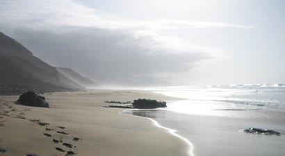 Vorsorgeuntersuchungen