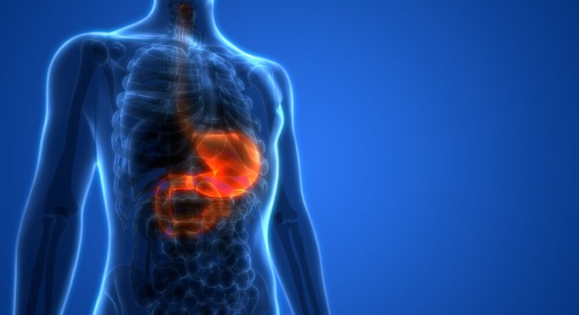 Gastroskopie - OA Dr. med. Mag. pharm. Michael Wasilewski - Internist Wien 1230