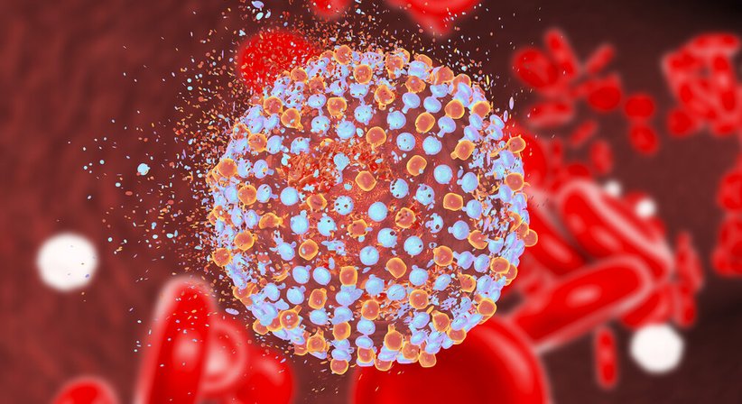 Hepatitis - OA Dr. med. Mag. pharm. Michael Wasilewski - Internist Wien 1230