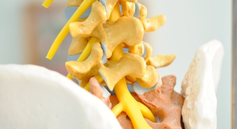 Konservative Wirbelsäulentherapie - Prim. Dr. Wolfgang Kaltenbrunner - Orthopäde Korneuburg 2100