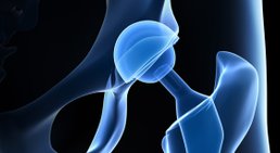 Prim. Dr. Wolfgang Kaltenbrunner - Orthopäde Korneuburg 2100