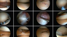 Dr. Omar El-Shohoumi - Orthopäde Stockerau 2000