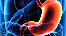 Gastroskopie -