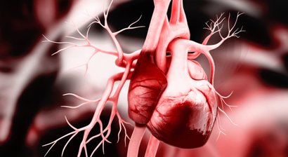 Herzklappenerkrankungen