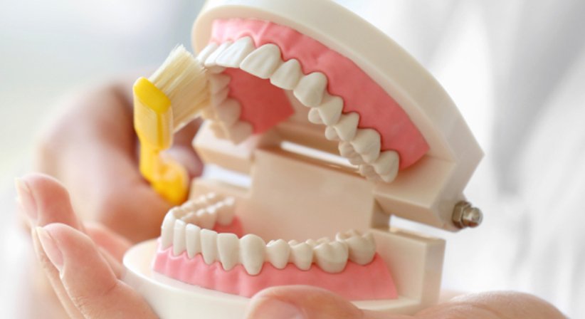 Professionelle Mundhygiene inkl. Entfernung von Zahnstein - Dr. Karl Schwaninger - Zahnarzt Wien 1090