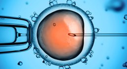 Dr. med. univ. Leonhard Loimer, MSc - Frauenarzt Linz 4020