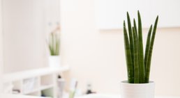 DDr. Kristina Hadwig - Zahnärztin Wien 1090