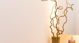 DDr. Kristina Hadwig - Zahnärztin Wien 1090