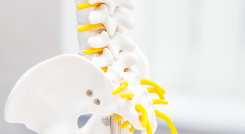 OA Dr. Ronald Josef Sabitzer - Neurochirurg Wien 1060