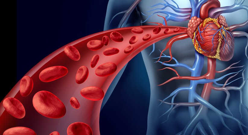 Vaskulitis - OA Dr. Thomas Zielbauer - Internist Wiener Neustadt 2700