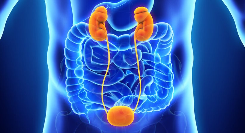 Zystenniere - OA Dr. Thomas Zielbauer - Internist Wiener Neustadt 2700