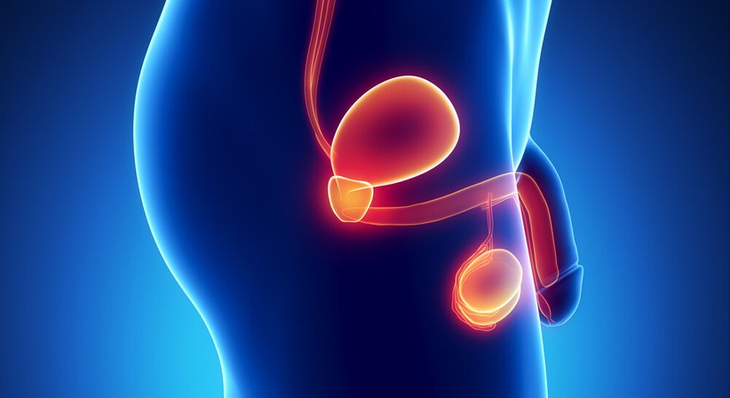 Prostatakrebs - OA Dr. Rudolf Hölzel, FEBU - Urologe Wien 1010