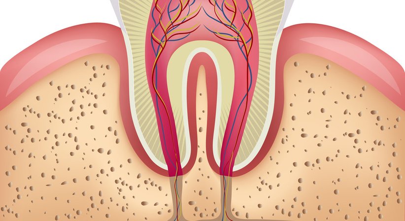 Oralchirurgie - Dr. med. univ. et med. dent. Walther Thaler - Zahnarzt Linz 4020