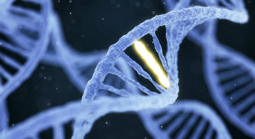 Genetische Beratung - Dr. Angelika Schneeweiß - Praktische Ärztin Wien 1150