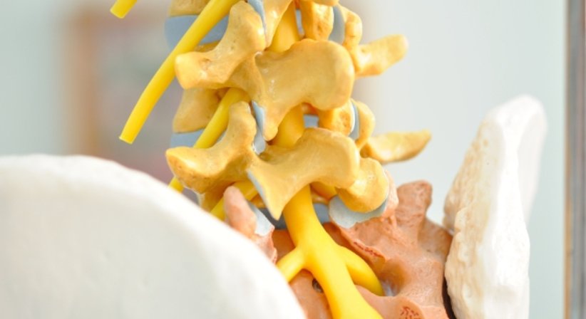 Wirbelsäulenchirurgie - Dr. Selma Köffler-Frey - Orthopädin Wien 1130