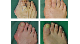 Praxis - Dr. Hermann Leidolf - Unfallchirurg Wien 1010