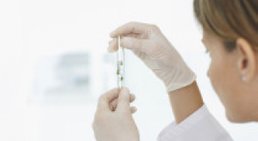 Labor, Infusionstherapie & Impfberatung -