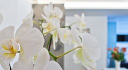 Dr. med. dent. Stefan Wuketich - Zahnarzt Wien 1160