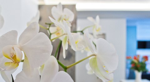 Dr. med. dent. Stefan Wuketich - Zahnarzt Wien 1160