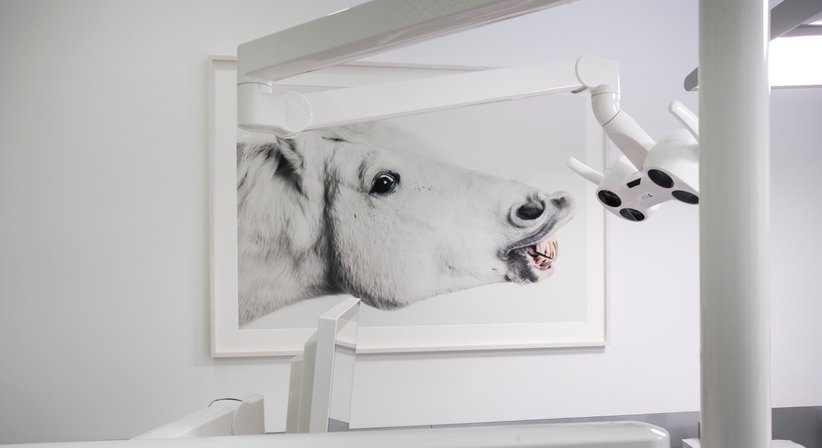 Dr. Andreas Quidenus, MSc - Zahnarzt Wien 1010