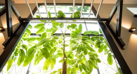 Praxis - Dr. Andreas Quidenus, MSc - Zahnarzt Wien 1010