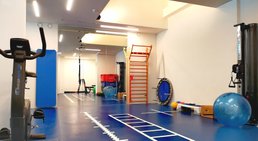 Praxis - Dr. Ulrich Lanz, IOC Dip Sp Phy - Orthopäde Wien 1130