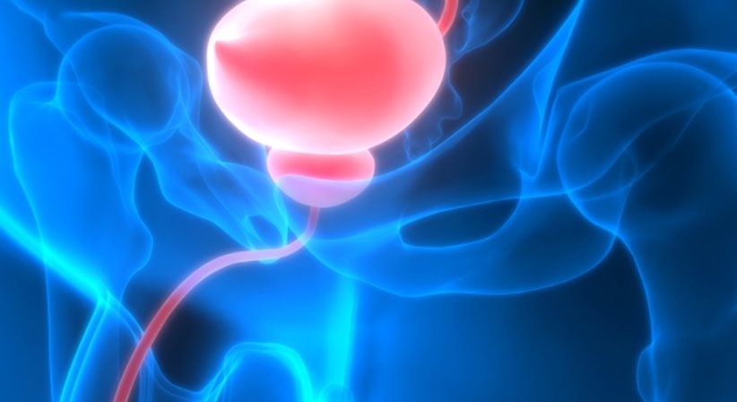 Blasenentleerungsstörungen - Priv.Doz. Dr. Markus Margreiter, FEBU, FECSM - Urologe Wien 1080